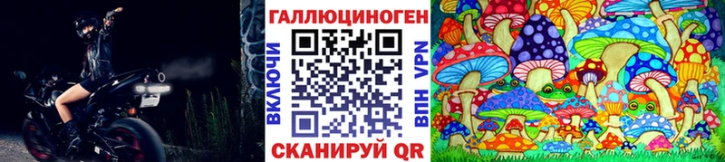 Псилоцибиновые грибы Psilocybine cubensis  как найти закладки  Щёлково 